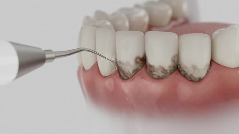 Reliable Dental contractor in Saranac, MI by Dentist Open Now